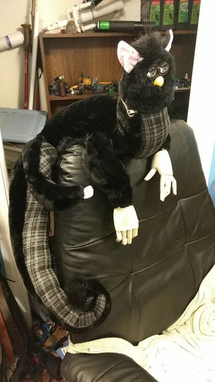 I woke up to this, I don't own a cat...