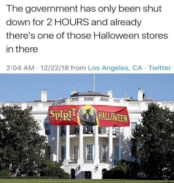 I always loved those stores