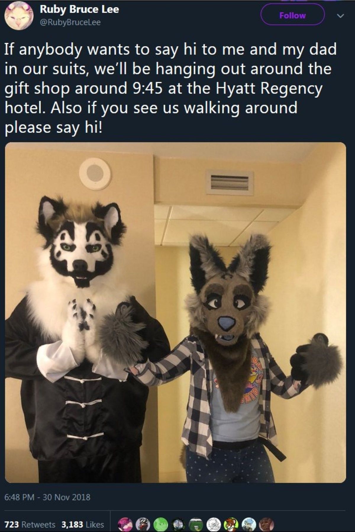 Water fire air and dirt, Fuᴄking furries how do they work?