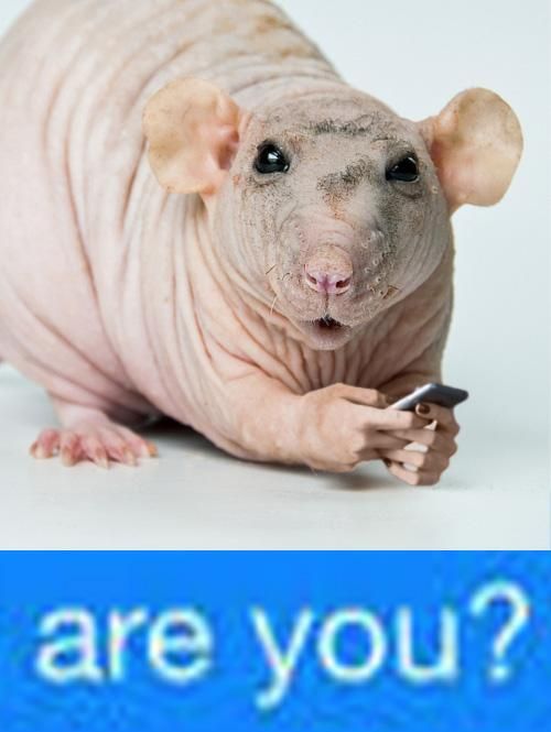 When you think you are real