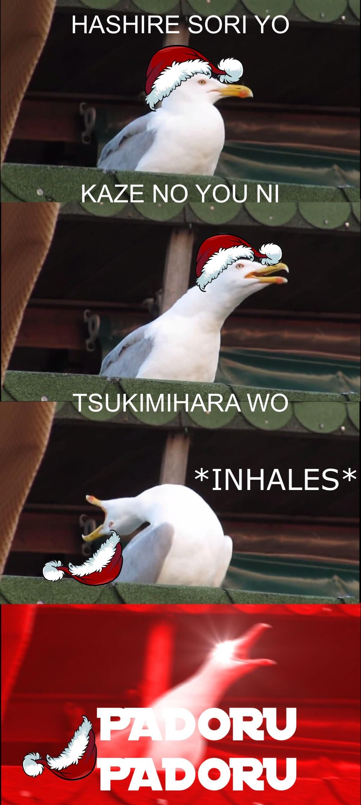 [padoru intensifies]