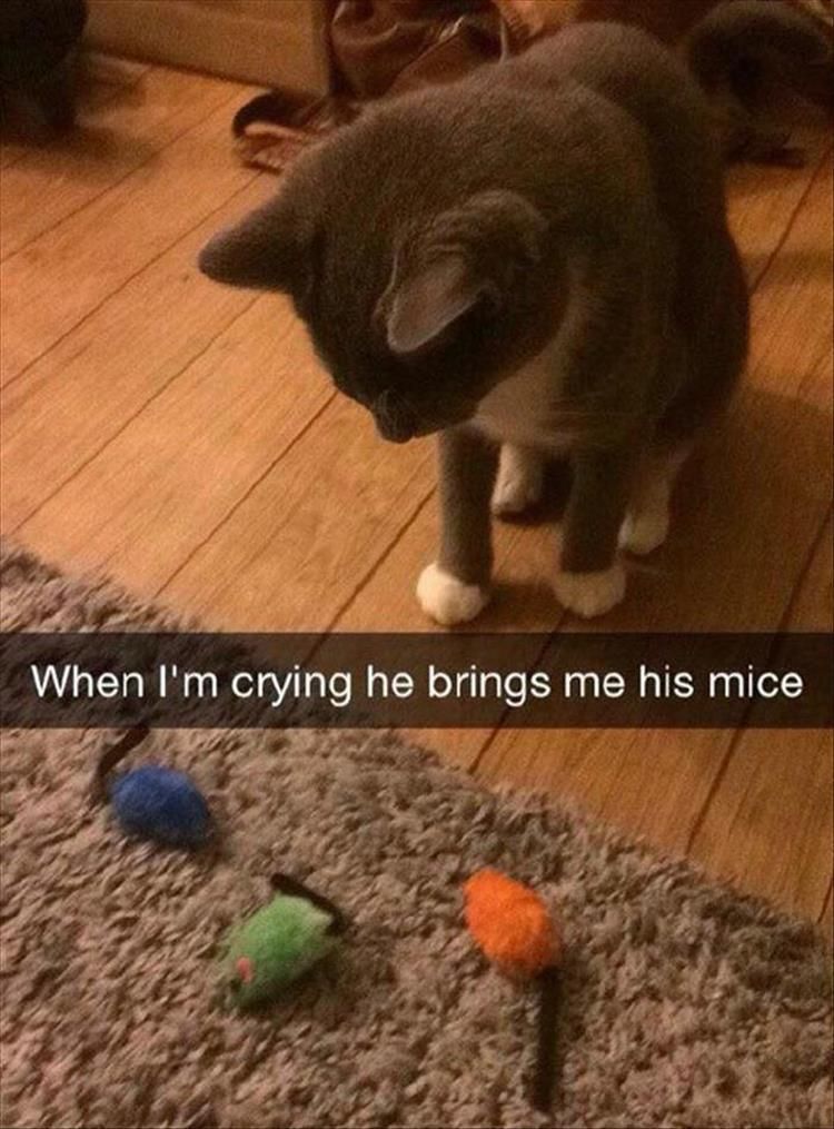 when iam crying he bring me his mice..
