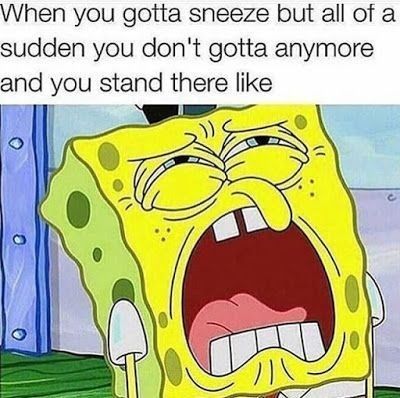 Excellent Spongepost #6
