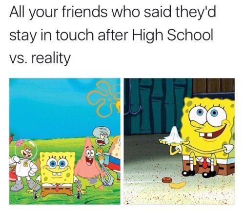 Excellent Spongepost #15