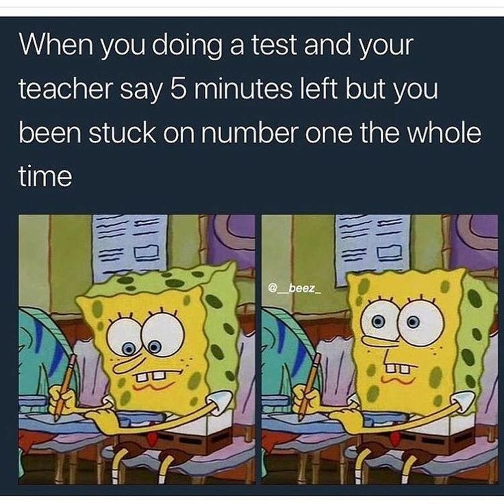 Excellent Spongepost #16