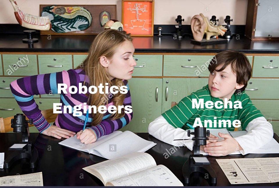 "The mechas MUST be piloted by teens, and it's recommended to have a boy and a girl pilot together"