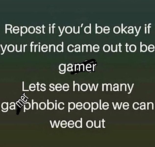 I'm a gaymer