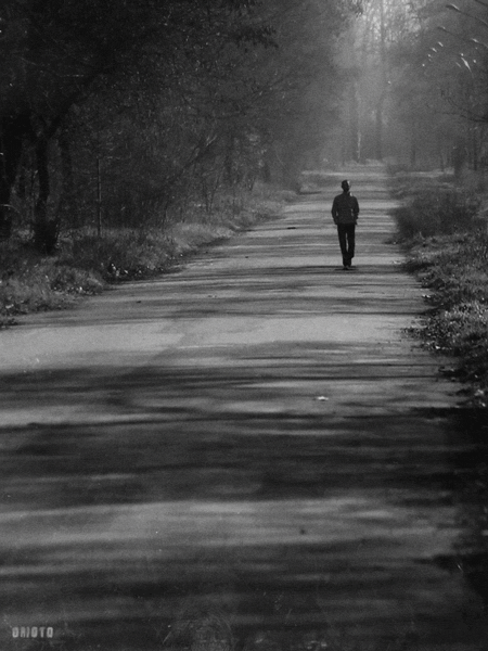 I walk this empty street, on the boulevard of broken dreams