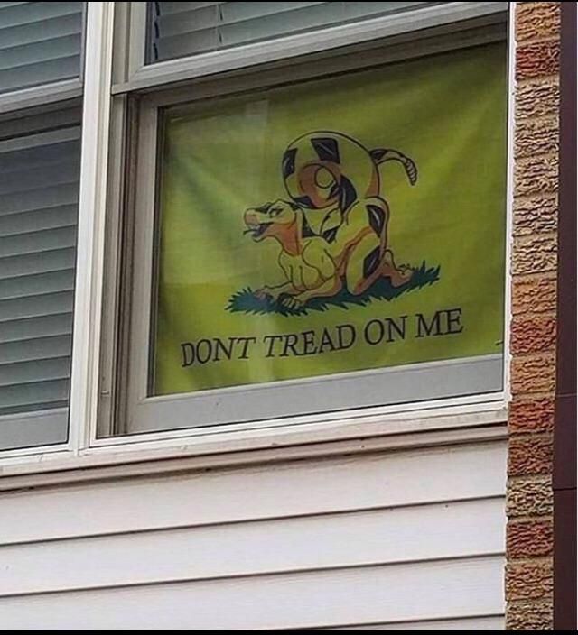 You don't have to tell me once