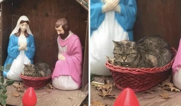 Baby Jesus seems to be a bit grumpy.