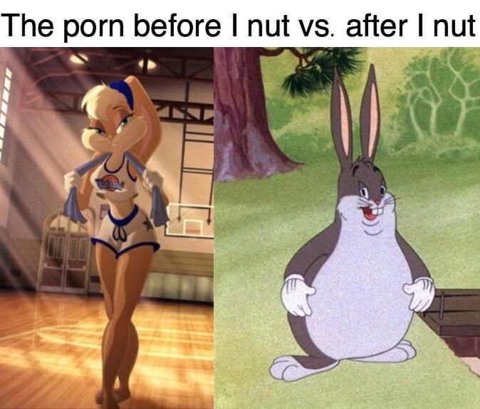 Everyone wanted to bang the rabbit, its ok yall get a pass without being a furry.
