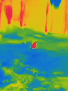 My buddy got a thermal camera for Christmas and finally answered an age-old question