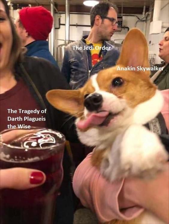 Gib me one sip