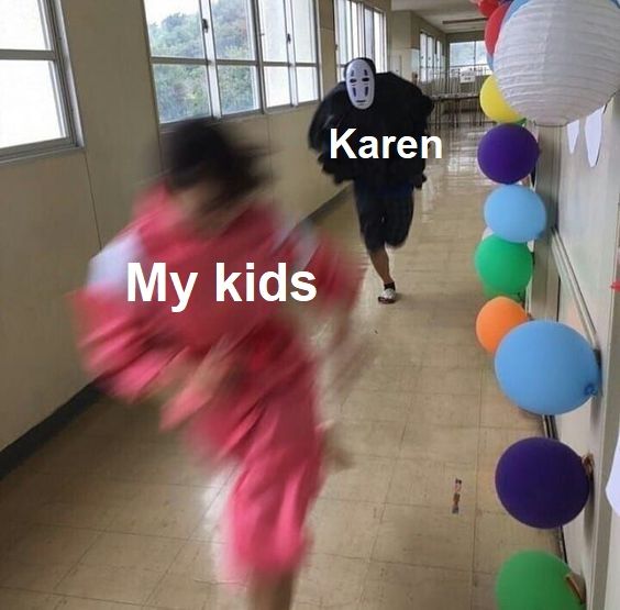 SHE TOOK MY KIDS