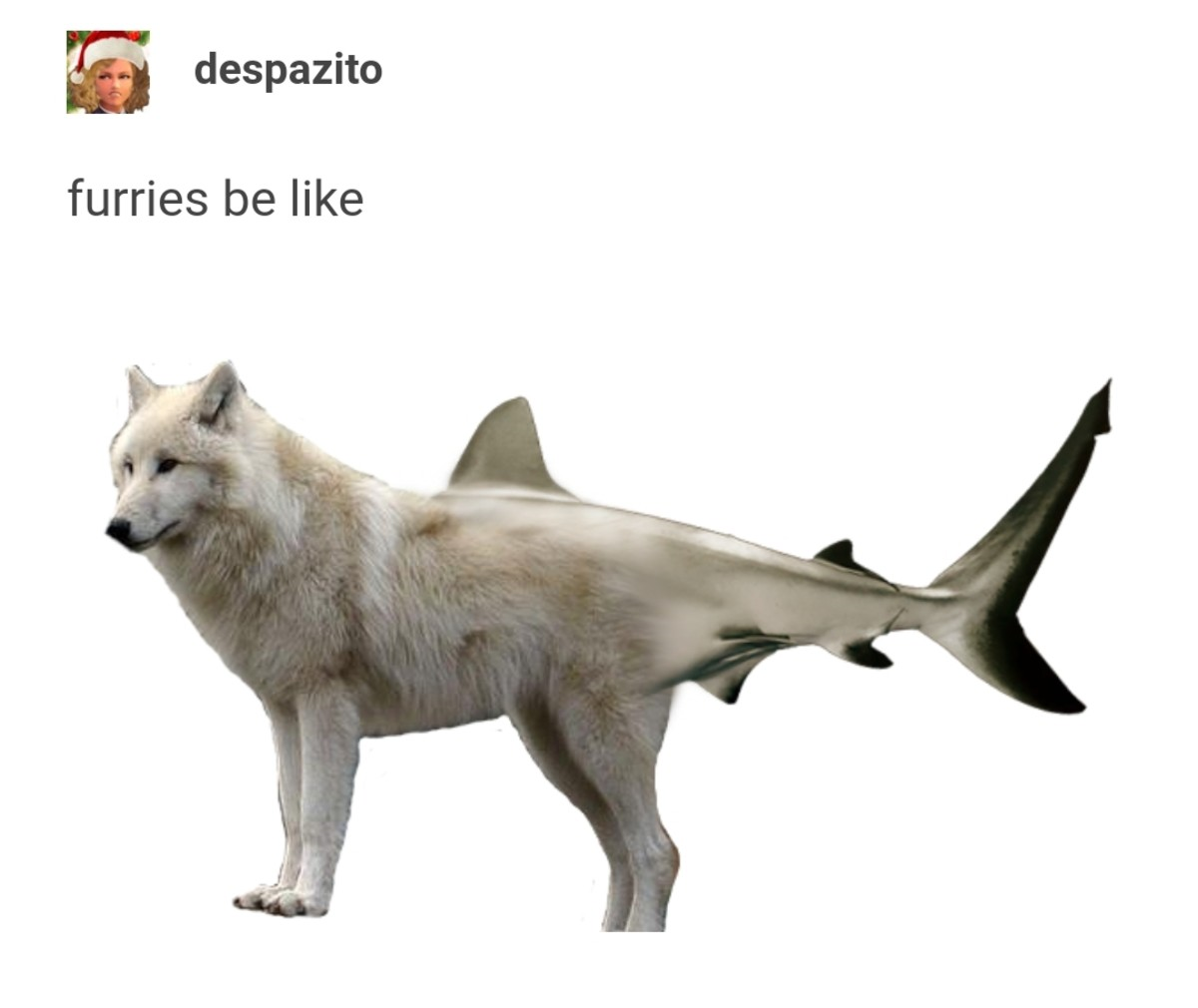 They do be like that