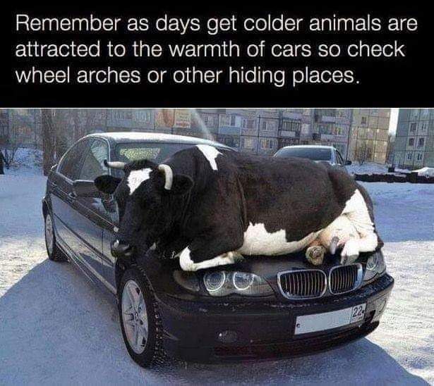 Don't forget to check your car thoroughly..