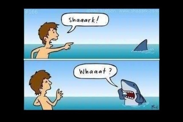 It's little jokes like this that always get me