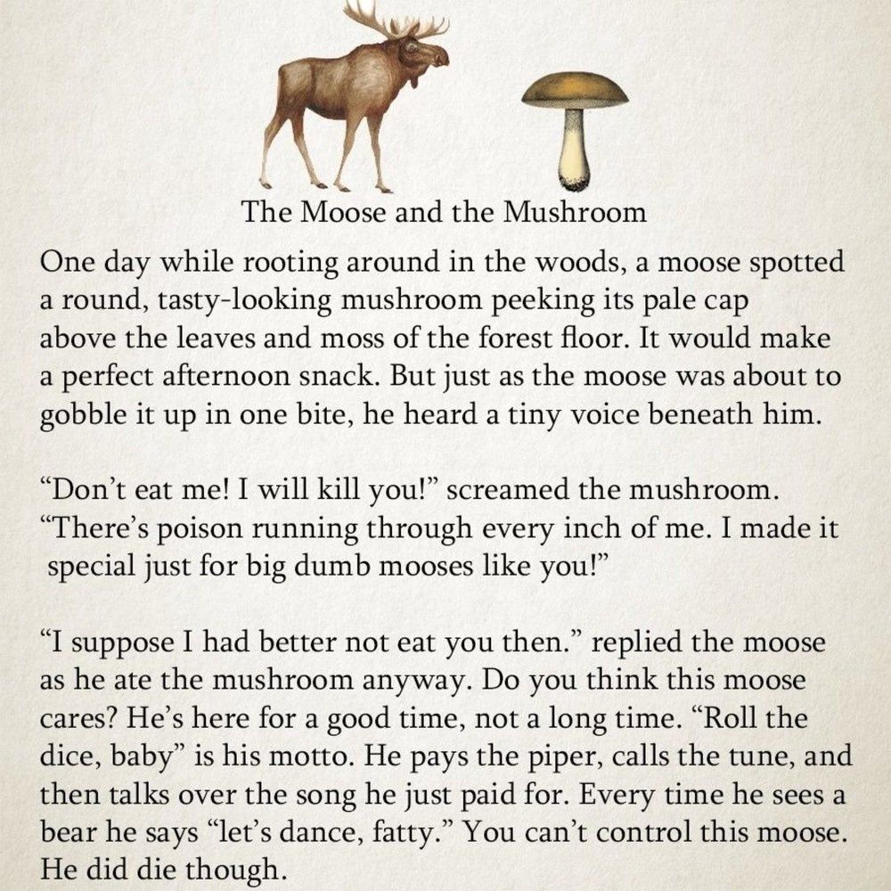 the moose and the mushroom