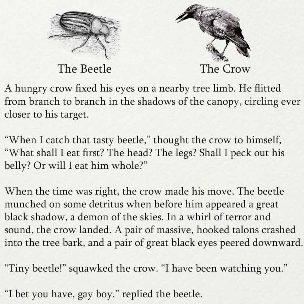 the beetle and the crow