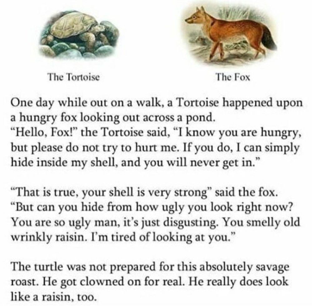 the tortoise and the fox