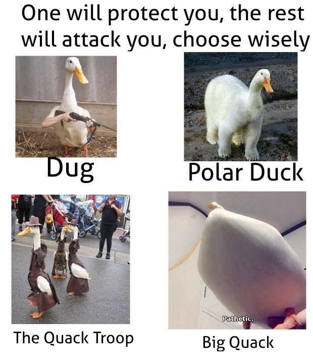 Big Quack