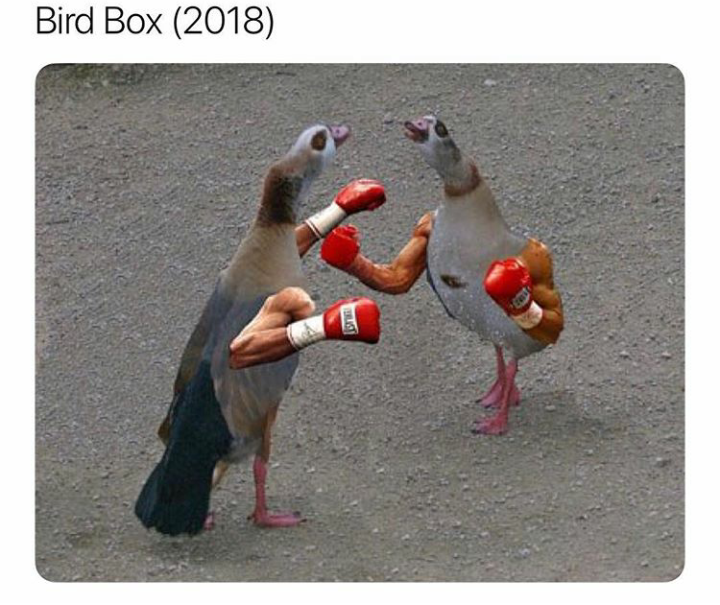 wow sandra bullock looks good
