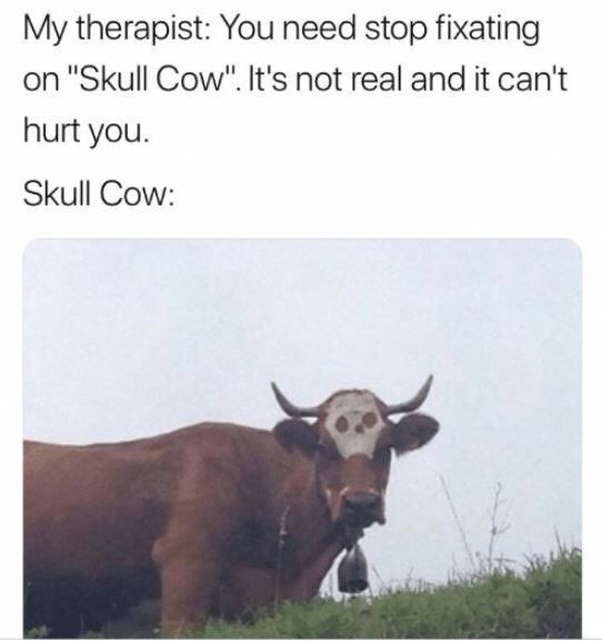 Skull cow is just a figment of your imagination.