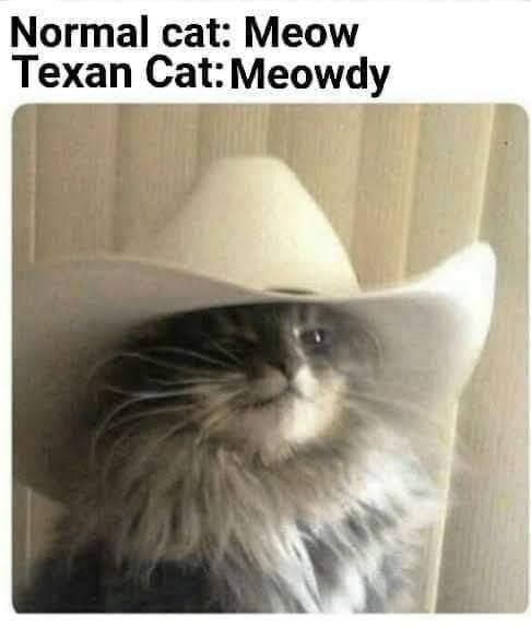 From now on i’ll respond only to the name Mc’Eowdy.
