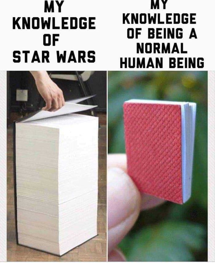 Memes*