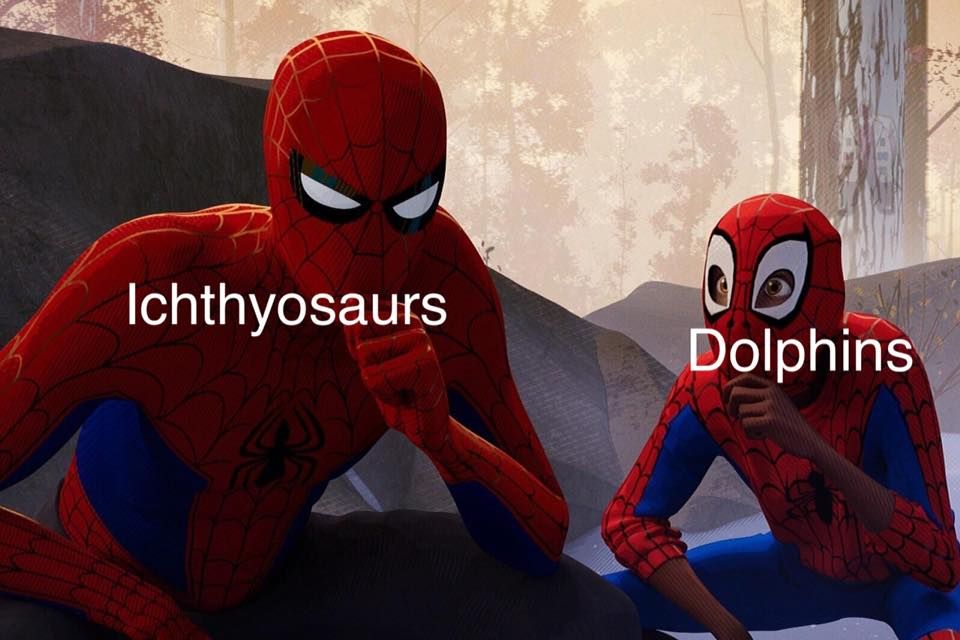 just like when Jesus learned from Shrek