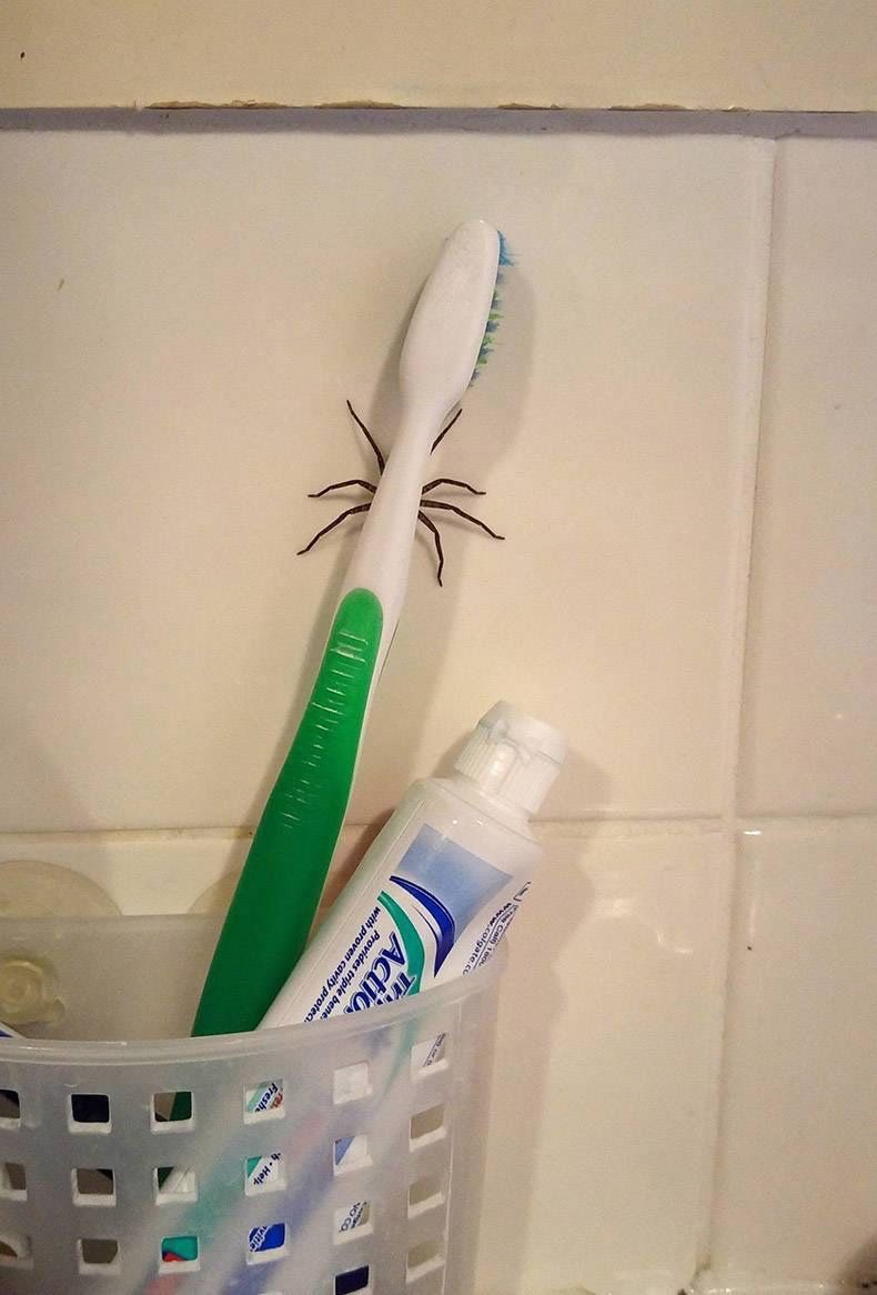 Don't think I will brush my teeth tonight
