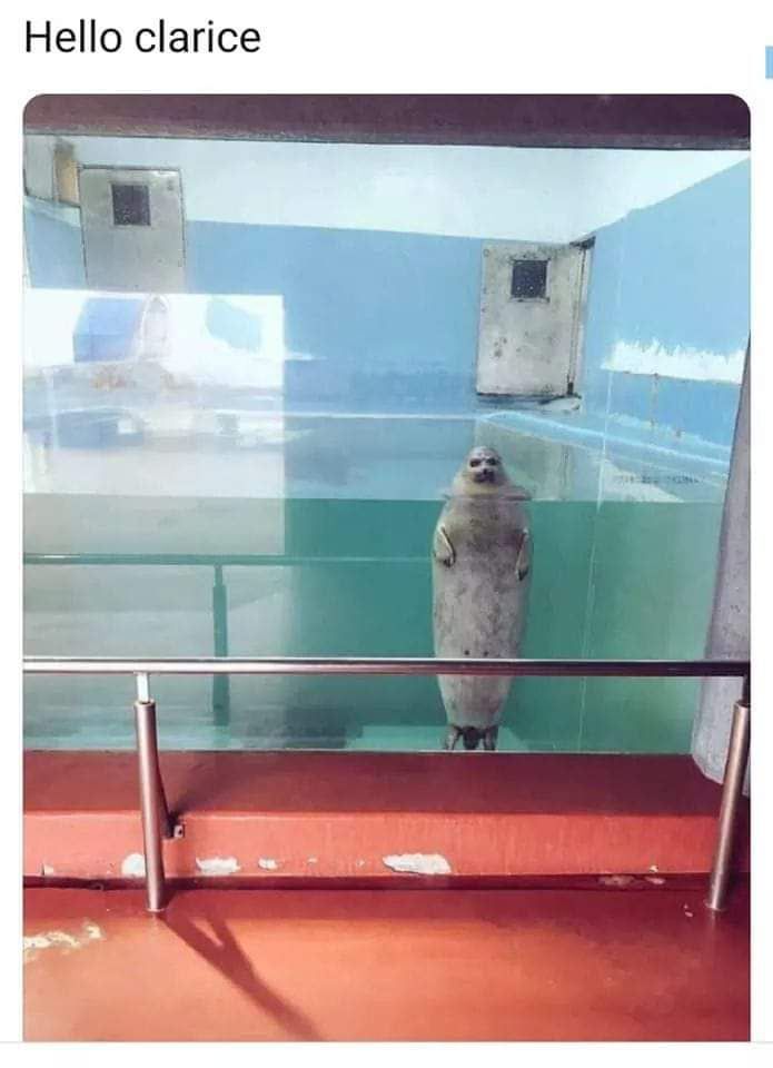 Tell me about the lambs , Clarice