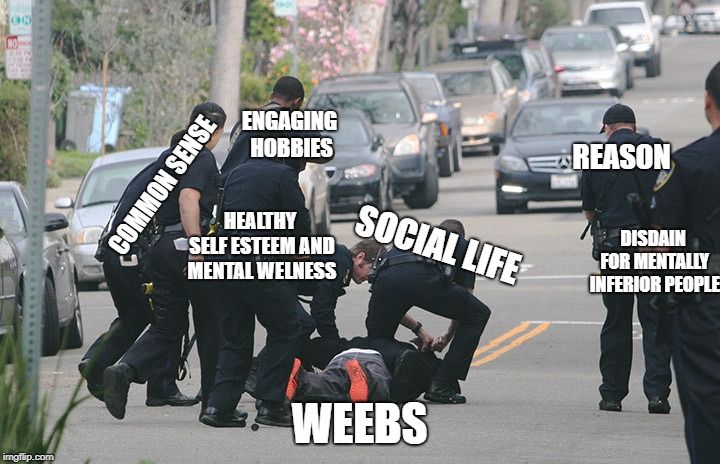 i'm just trying to plant seeds