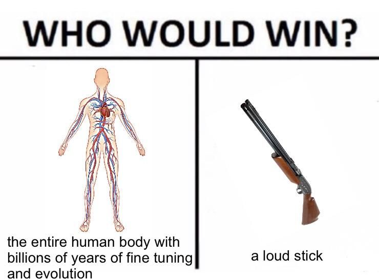 This meme is to be viewed alongside Nancy Sinatra's Bang Bang.