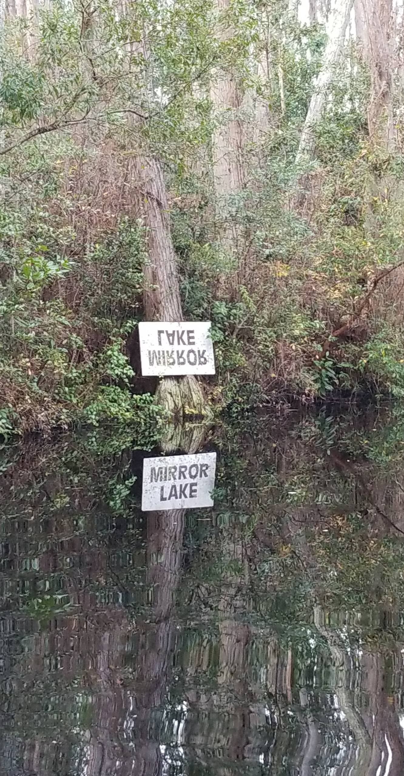 Lake Mirror or Mirror Lake?