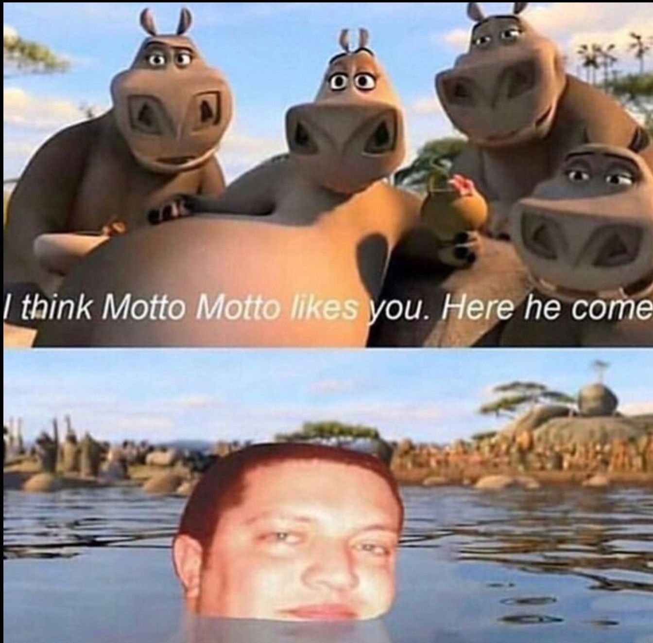 Motto means loser