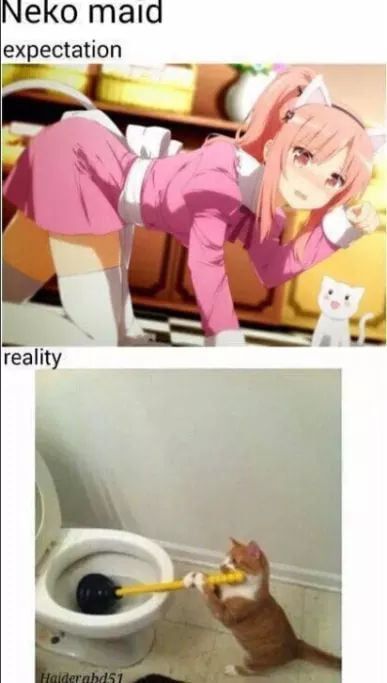 The Great Expactations