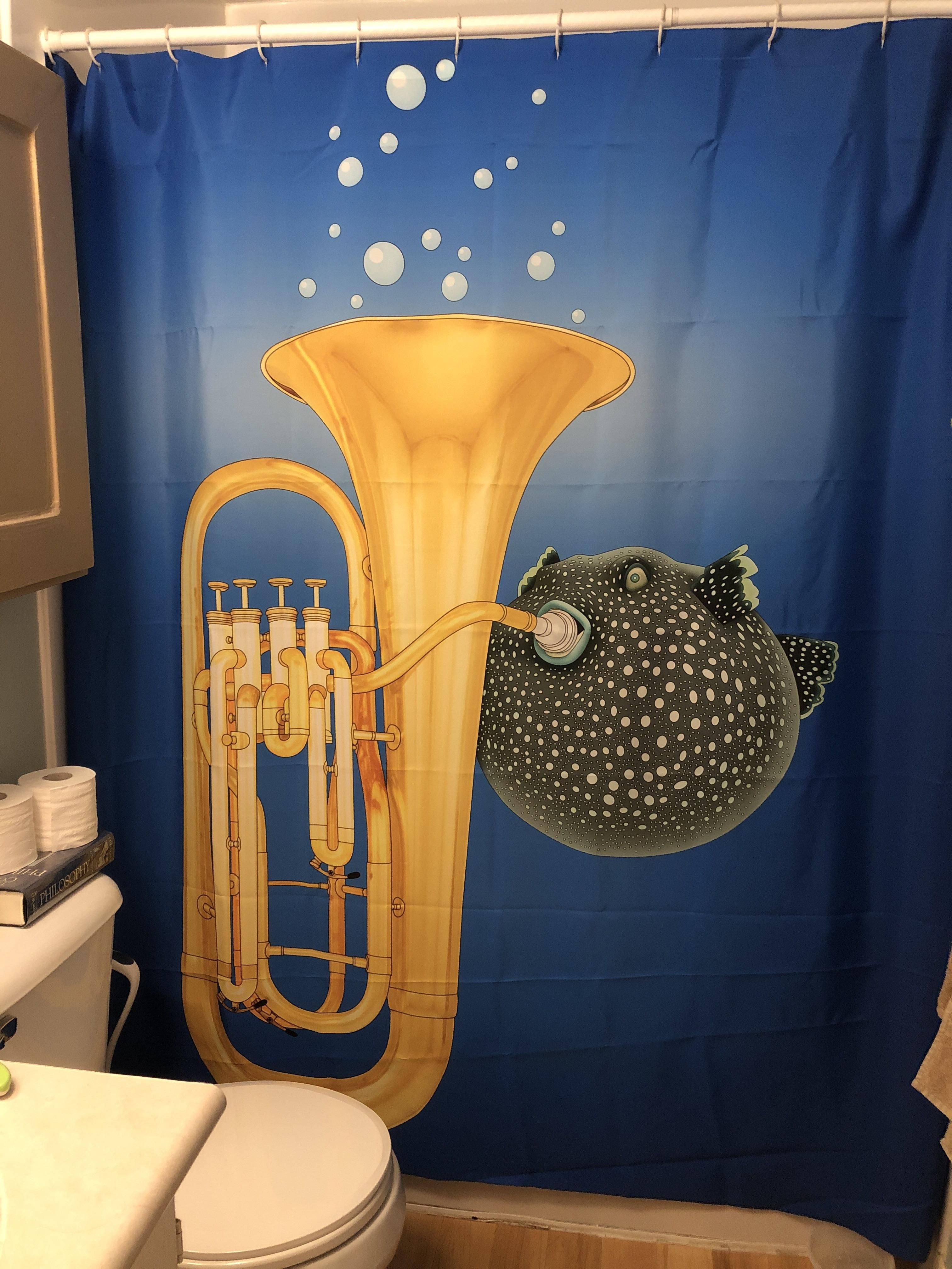 The perfect shower curtain doesn’t exis—