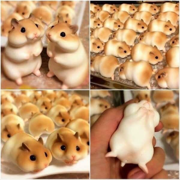 Japanese hamster bread