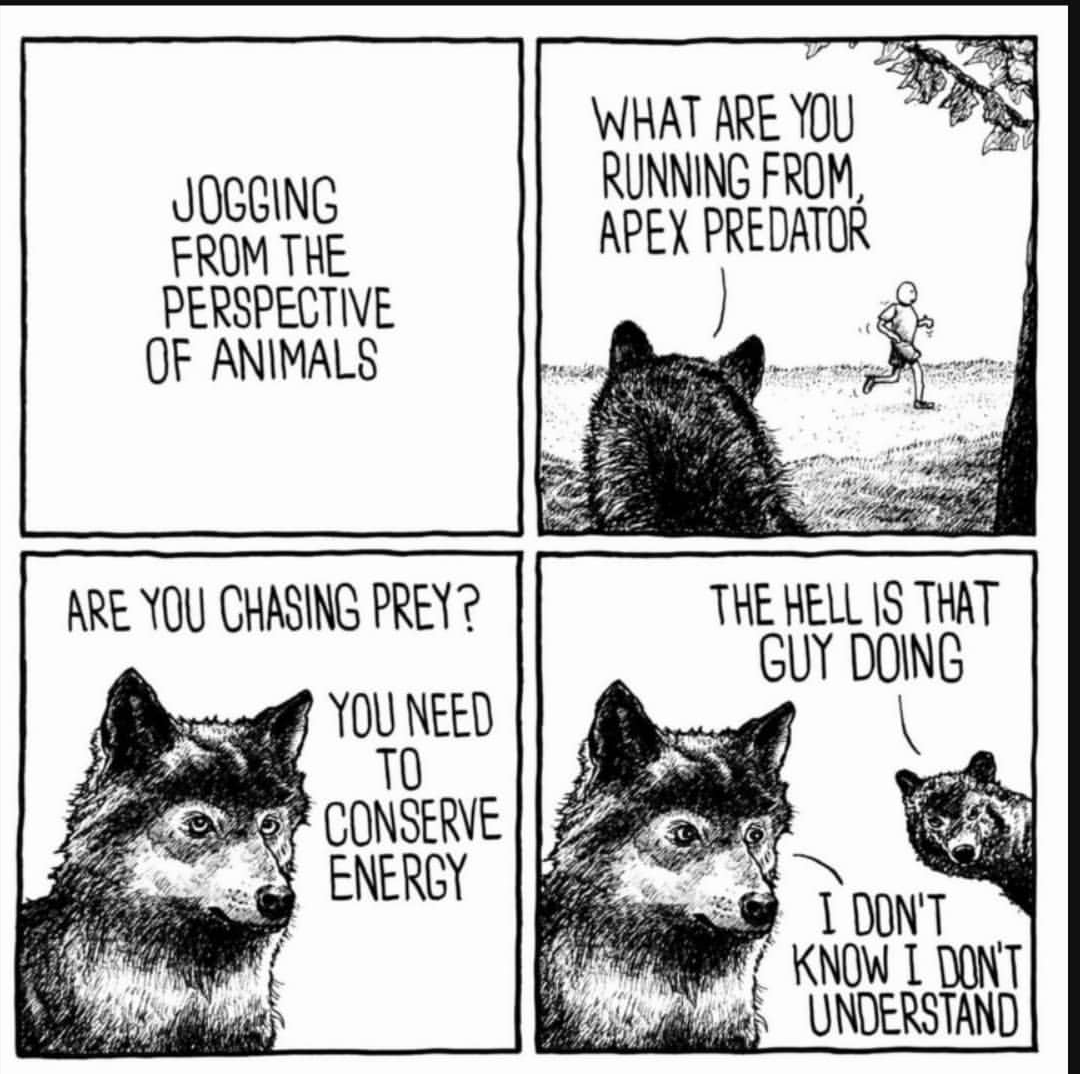 Jogging from perspective of animals