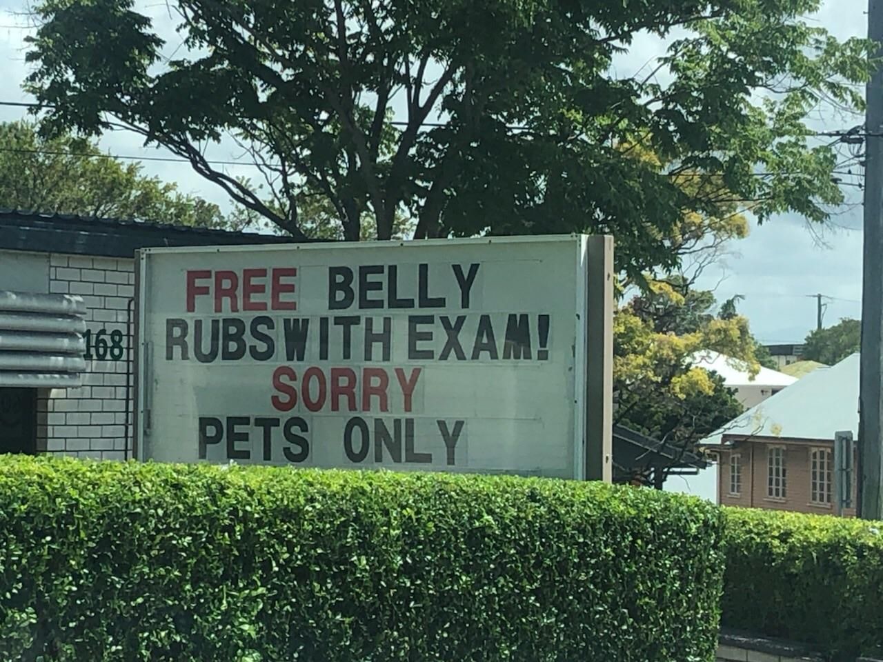 Free Belly Rubs