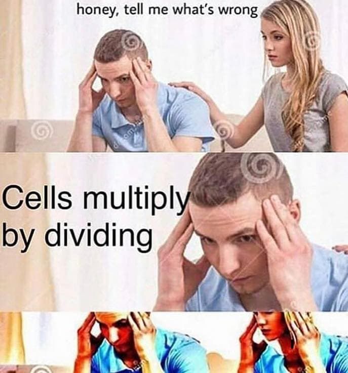 whaaat