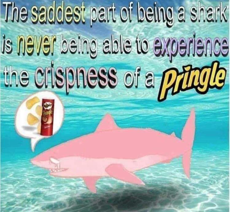 Those poor sharks