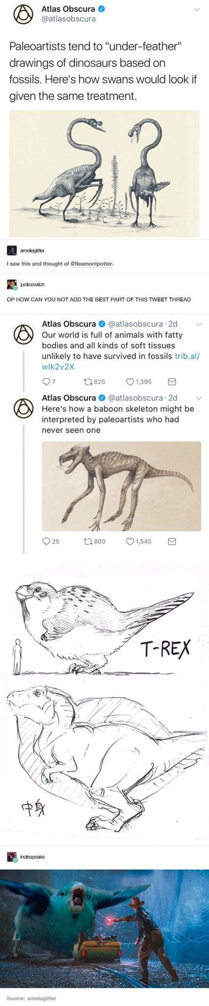 Feathered Dinosaurs ?