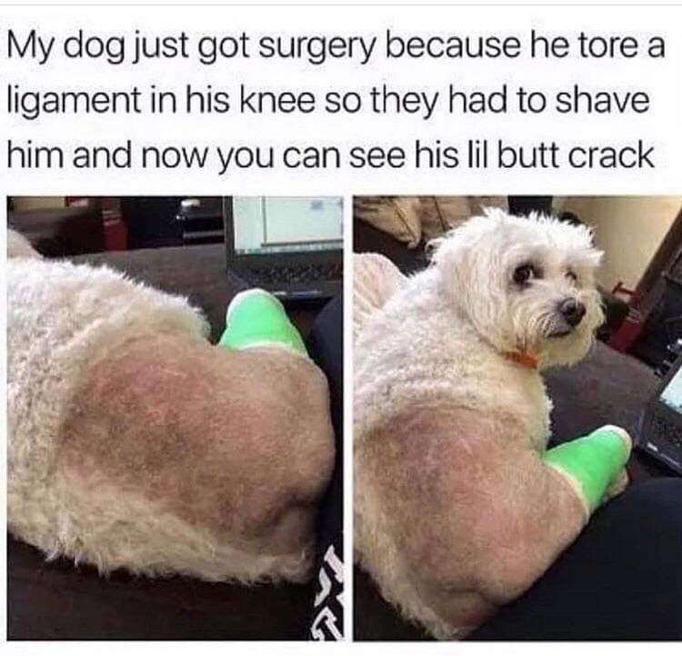 Little butt crack.