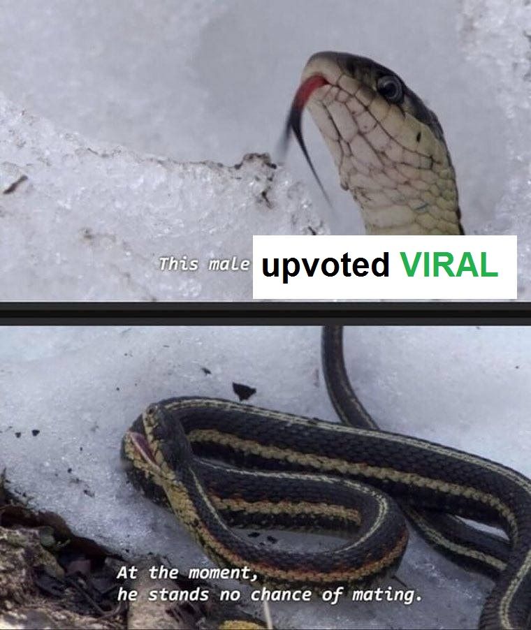 admins