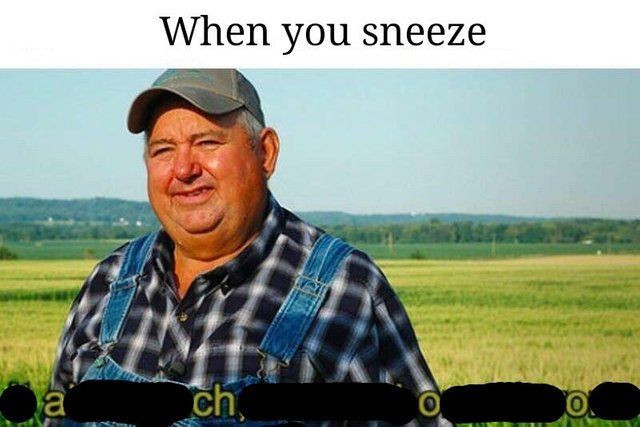 killing the meme