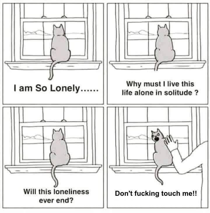 So lonely..