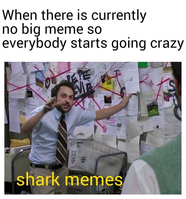 Shark time