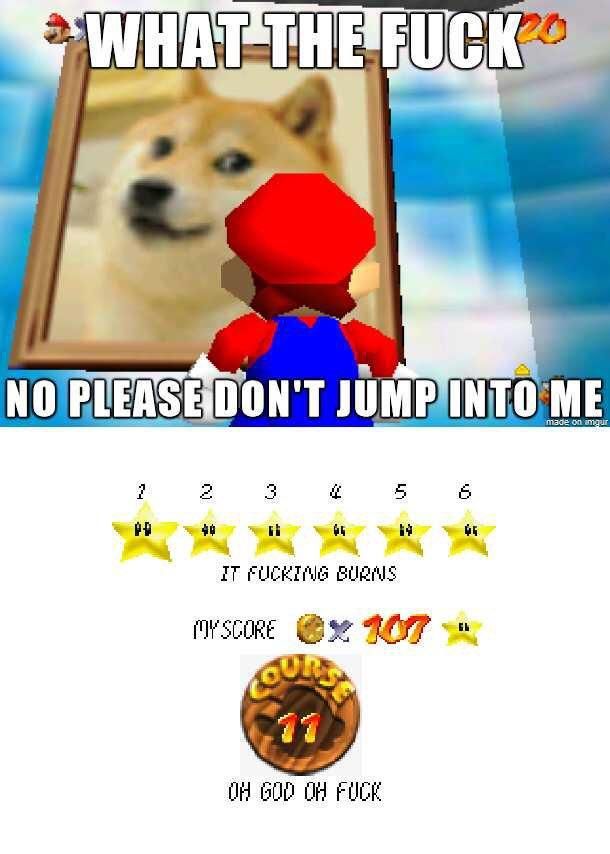 Doge got what was coming